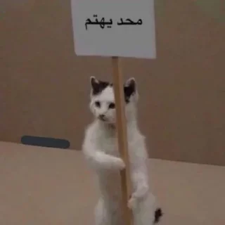 🌝 emoji يع الله يقرفو - @Trimify Telegram sticker 21 of 120