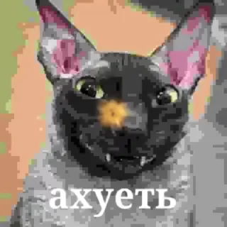 🌟 emoji Пак самых 𝒻𝓇ℯ𝒶𝓀𝓎~ Telegram sticker 6 of 120