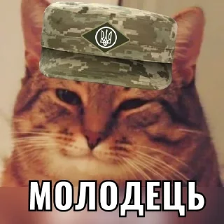 ☺️ emoji Мяу мур@MRY_YP Telegram sticker 23 of 51