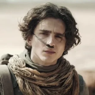 ❔ emoji Paul Atreides | By @WBW_Stickers Telegram sticker 22 of 73