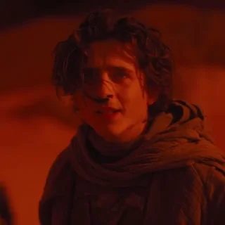 😃 emoji Paul Atreides | By @WBW_Stickers Telegram sticker 20 of 73
