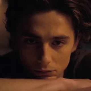 😐 emoji Paul Atreides | By @WBW_Stickers Telegram sticker 12 of 73