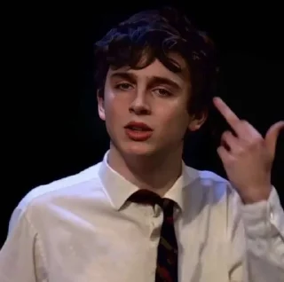 Sticker from timothee chalamet
