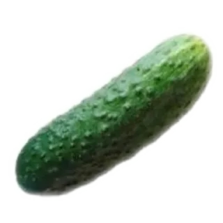 🍉 emoji Ну что то прикольное😄 Telegram sticker 21 of 42