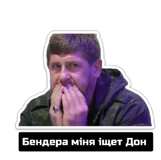 😫 emoji Кадирка Telegram sticker 20 of 24