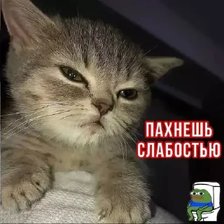📉 emoji Больше стиков тут: @stikery4 Telegram sticker 12 of 84