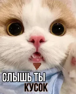 💩 emoji Больше стиков тут: @stikery4 Telegram sticker 21 of 84