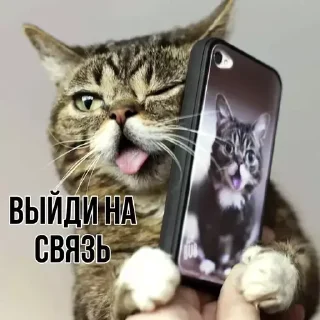 📱 emoji Больше стиков тут: @stikery4 Telegram sticker 18 of 84