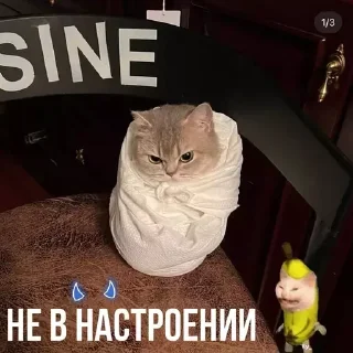 😮‍💨 emoji Больше стиков тут: @stikery4 Telegram sticker 23 of 84