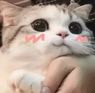 😊 emoji Больше стиков тут: @stikery4 Telegram sticker 2 of 84