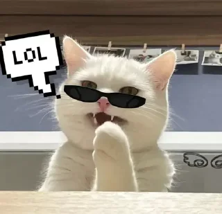 😂 emoji Больше стиков тут: @stikery4 Telegram sticker 5 of 84