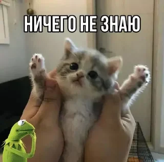 ⁉️ emoji Больше стиков тут: @stikery4 Telegram sticker 13 of 84
