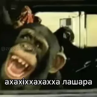 😂 emoji Фотожоп https://t.me/Emil_1951 Telegram sticker 15 of 120