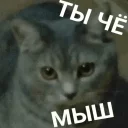 😑 emoji АУЕ. — @stckrRobot Telegram sticker 19 of 105