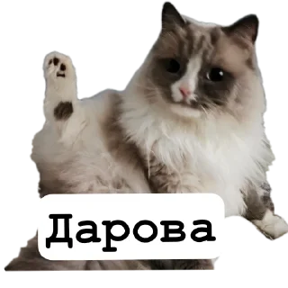Sticker from Милтон