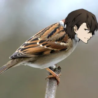 🐦 emoji Дазаёбушки @DazaiStickers Telegram sticker 22 of 25