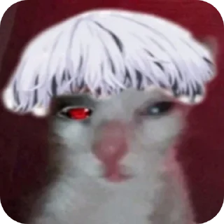 🤓 emoji Сыгма ➡️ фул Конго в лс Telegram sticker 16 of 17