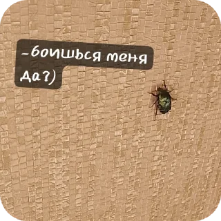 🏖 emoji Не пизди у Оли ➡️ @Ctikerubot Telegram sticker 7 of 25