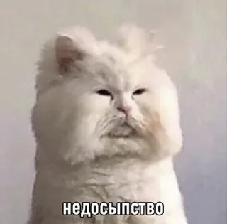 🌟 emoji Memorefakt Telegram sticker 17 of 61