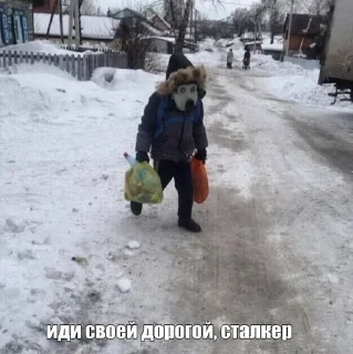Sticker from Полнейший bullshit