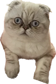 Sticker from Мелисса