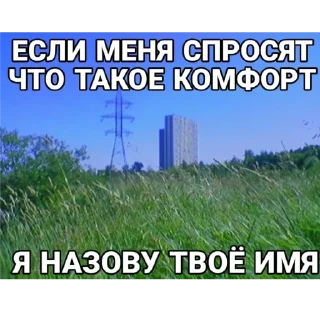 Sticker from щитпост