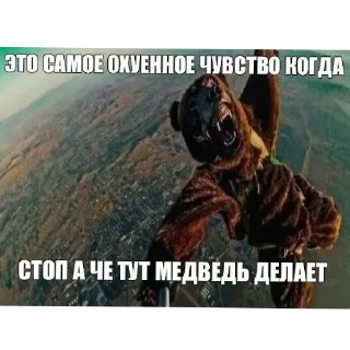 🖼 emoji Набор говна (обебышь) Telegram sticker 16 of 81