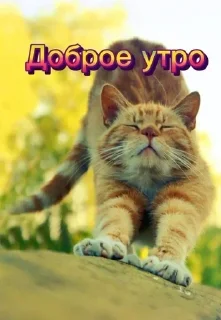 ☀️ emoji Больше стиков тут: @stikery4 Telegram sticker 13 of 107