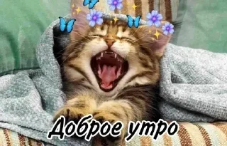 🥱 emoji Больше стиков тут: @stikery4 Telegram sticker 24 of 107
