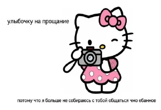 📸 emoji для важных переговоров @momoqaymok Telegram sticker 19 of 42