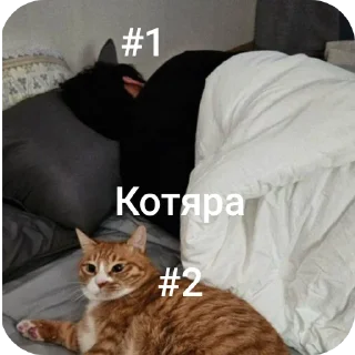 Sticker from Зоопарк