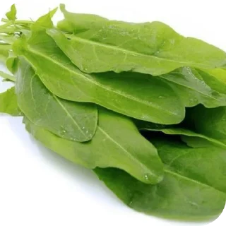 🌱 emoji колбаска Telegram sticker 23 of 52