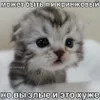 😭 emoji идеальный мир шк @dekashka ➡️ @Ctikerubot Telegram sticker 14 of 70