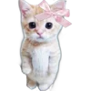 🐈 emoji лесчя🐈‍⬛ ➡️ @Ctikerubot Telegram sticker 13 of 200