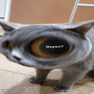 ❓ emoji Не заходи сюда👉🏻 @stikiin Telegram sticker 6 of 92