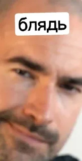 😂 emoji бульдог это собака Telegram sticker 21 of 33