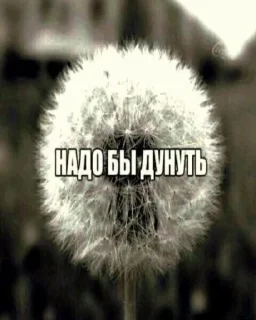 🌟 emoji специальный выпуск говна 1 Telegram sticker 19 of 50