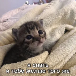 🌟 emoji специальный выпуск говна 1 Telegram sticker 7 of 50