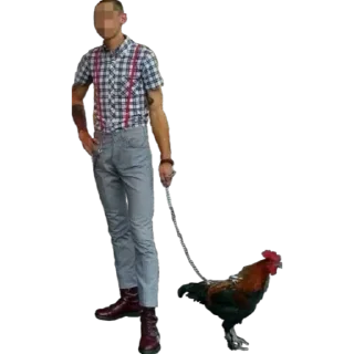 🐓 emoji скинята Telegram sticker 23 of 35