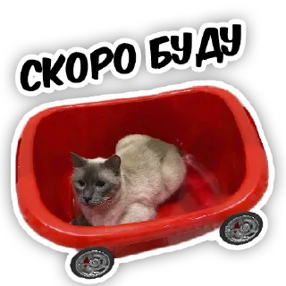 🚗 emoji чипс Telegram sticker 11 of 14