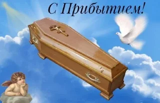 🌟 emoji Саввуш Telegram sticker 21 of 120