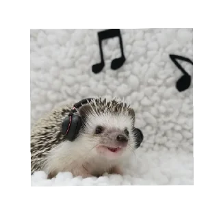 🎵 emoji Ёжики от Аарона (чтобы бесить Эндрю) Telegram sticker 18 of 40