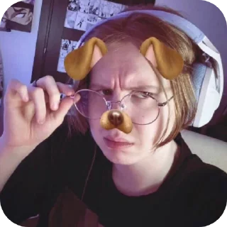 🐶 emoji мяуноскисобака2016мяуноскисобака2016 Telegram sticker 20 of 30