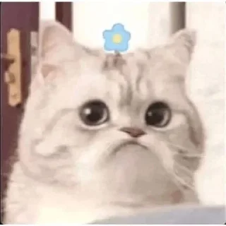 ☹️ emoji @round_stickers Telegram sticker 20 of 50