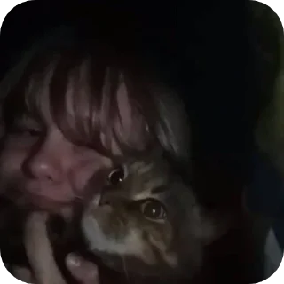 🐈 emoji собака юджин порно онлайн Telegram sticker 8 of 27