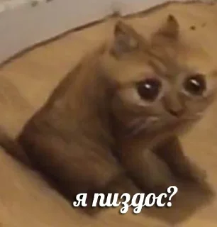 😩 emoji Больше стикеров 👉🏻 @stickertg4 Telegram sticker 8 of 22