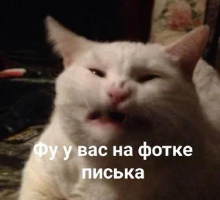 🤮 emoji Больше стикеров 👉🏻 @stickertg4 Telegram sticker 15 of 22