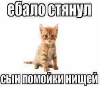 😎 emoji яна солях Telegram sticker 7 of 81