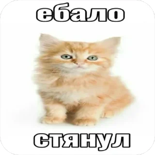 🤏 emoji яна солях Telegram sticker 16 of 81