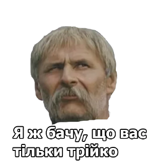 🧐 emoji Пропала Грамота  (від Буковинського Куреня) Telegram sticker 3 of 39